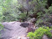 Tonto Natural Bridge 045